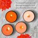 Барвник ПОМАРАНЧЕВИЙ для виготовлення свічок пластівці CANDLE SHOP 57 грамм SB-010 фото 2