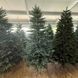 Жозефіна голубая 🌲 С080-120 фото 1