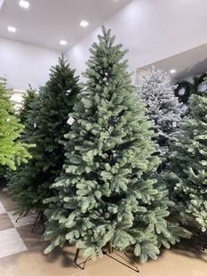 Альпійська-2 блакитна 🌲 С090-120 фото