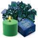 Барвник ЗЕЛЕНИЙ для виготовлення свічок пластівці CANDLE SHOP 57 грамм SB-009 фото 1