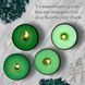 Барвник ЗЕЛЕНИЙ для виготовлення свічок пластівці CANDLE SHOP 57 грамм SB-009 фото 2