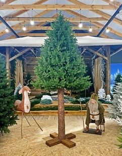 Ялинка Traditional реалістична лита з дерев'яним стовбуром 3 м зелена 240/300/G фото