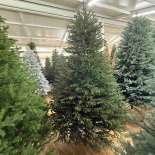 Валерія зелена 🌲 С118-120 фото