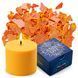 Барвник ЖОВТИЙ для виготовлення свічок пластівці CANDLE SHOP 57 грамм SB-004 фото 1