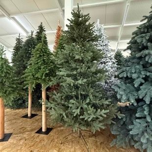 Жозефіна зелена 🌲 С078-120 фото